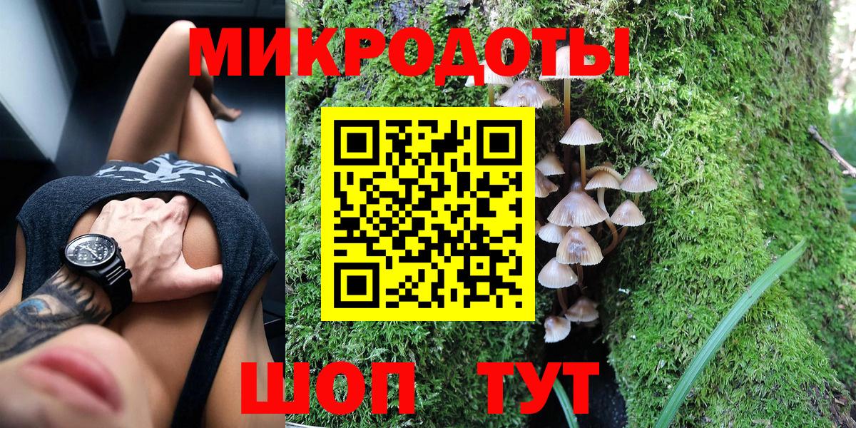Славгород  закладка  Вход с VPN  Псилоцибиновые грибы мицелий 